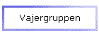 Vajergruppen